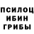 Псилоцибиновые грибы ЛСД Mary Rosnell