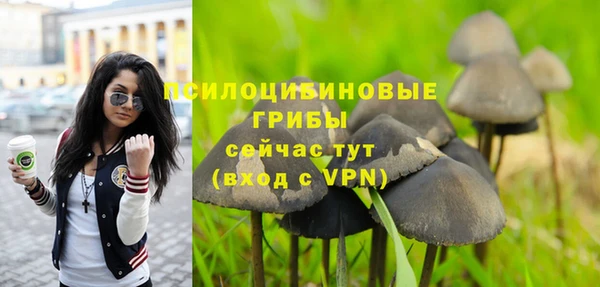не бодяженный Богданович