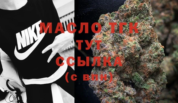 гидра Бородино