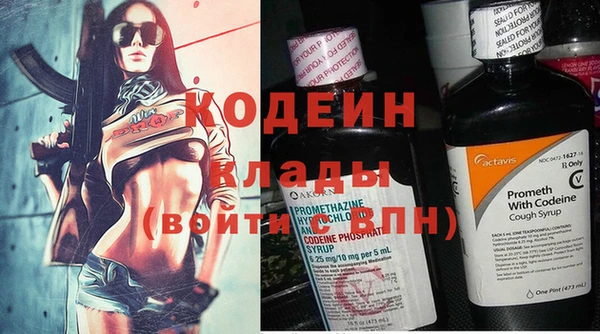 крисы Бронницы