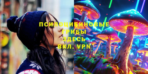 не бодяженный Богданович