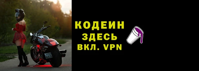 гидра Бородино