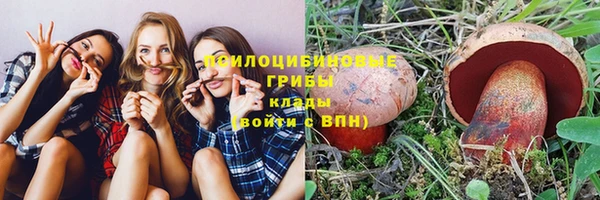 гидра Бородино