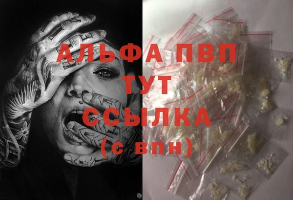 крисы Бронницы