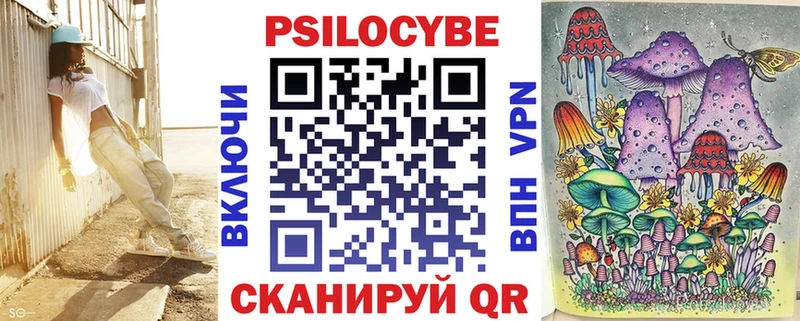 Галлюциногенные грибы Psilocybe  Братск 