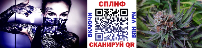 Конопля конопля где купить наркоту Братск